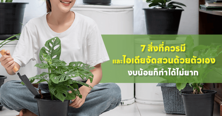 จัดสวนด้วยตัวเอง