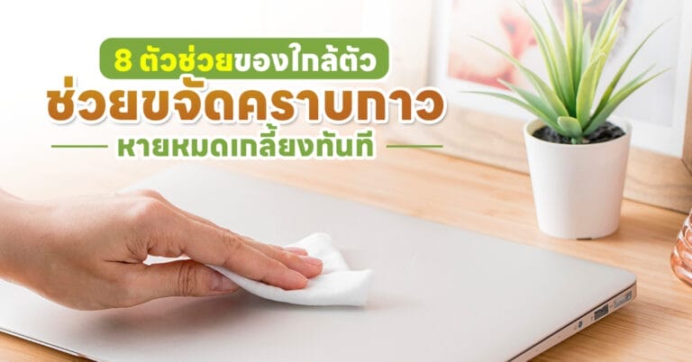 ช่วยขจัดคราบกาว