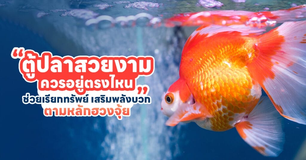 ตู้ปลาสวยงาม