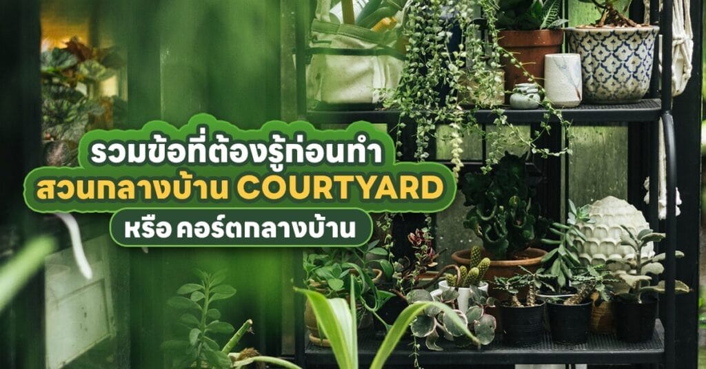 สวนกลางบ้าน